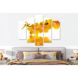 Tablouri canvas Orhidee 53501