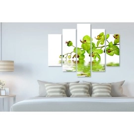 Tablouri canvas Orhidee 2242