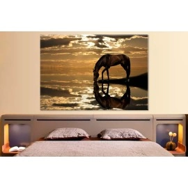 Tablouri canvas Cal 2564