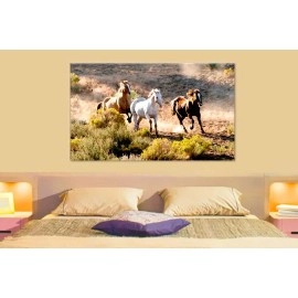 Tablouri canvas cai 34431