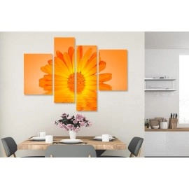 Tablouri canvas floare 6144