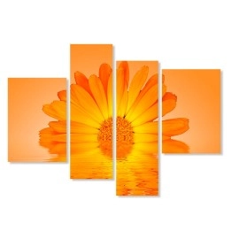 Tablouri canvas floare 6144