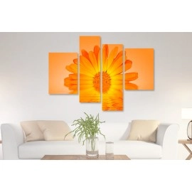 Tablouri canvas floare 6144