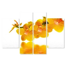 Tablouri canvas Orhidee 5301