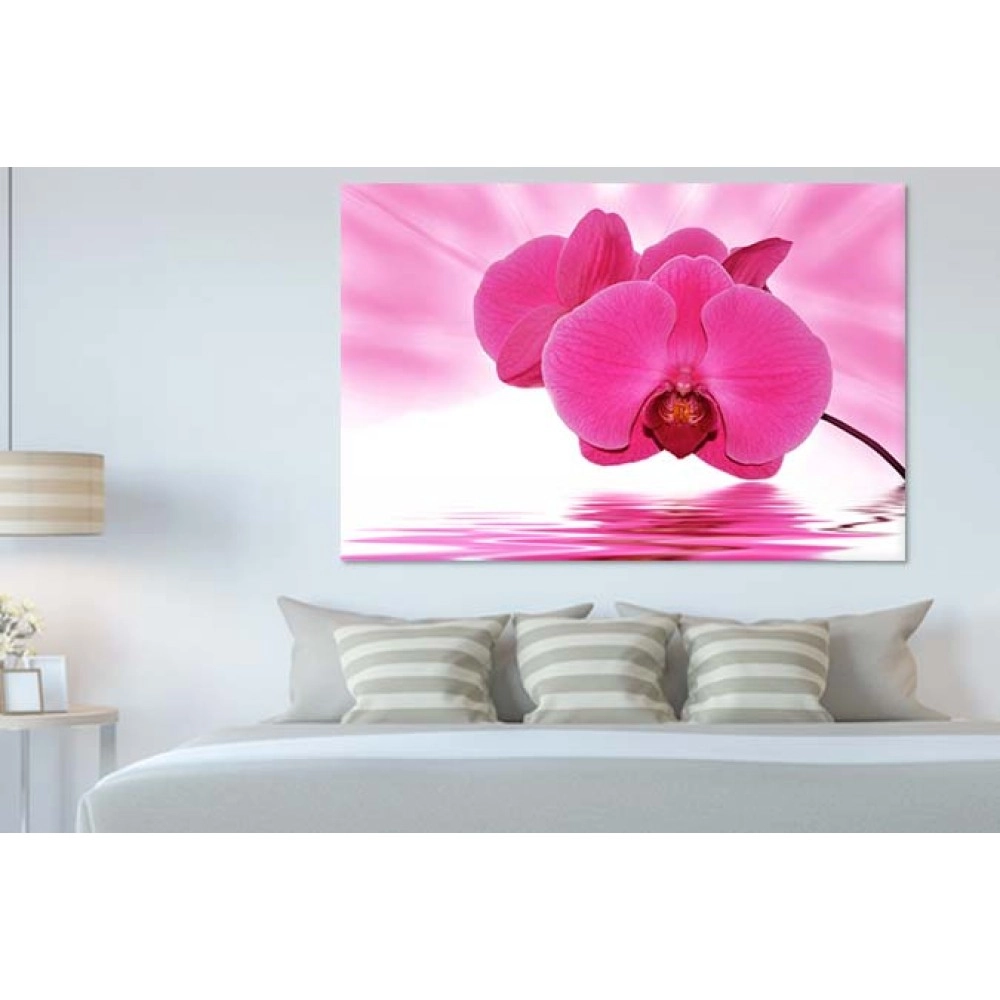 Tablouri canvas Orhidee 40315