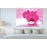 Tablouri canvas Orhidee 40315