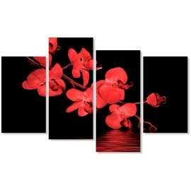 Tablouri canvas orhidee 22012 rosu