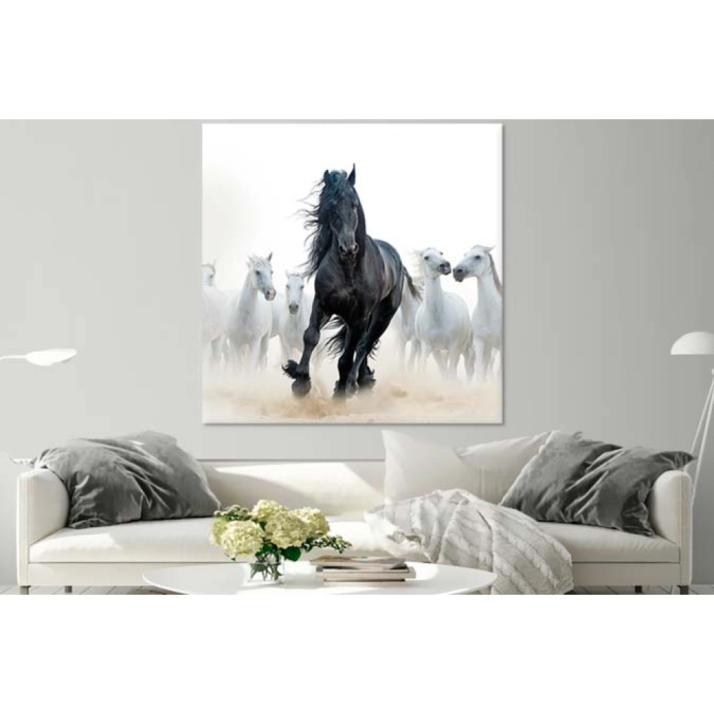 Tablouri living calul negru 65214