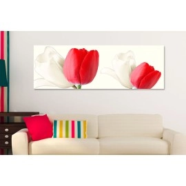 Tablouri canvas lalele albe rosii