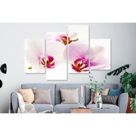 Tablouri canvas Orhidee 5691