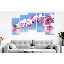 Tablouri canvas Orhidee fond blue 64087