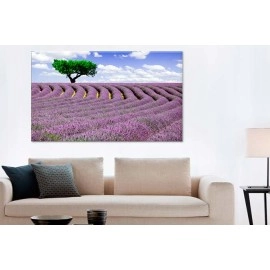 Tablouri canvas Lavanda 33083
