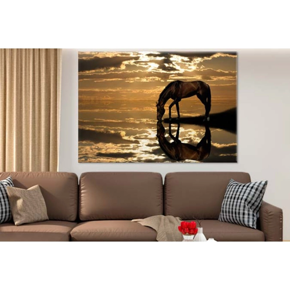 Tablouri canvas Cal 2564