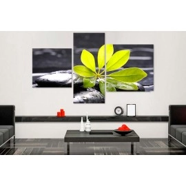Tablouri canvas relax 1681