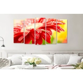 Tablouri canvas Margareta close up 15915