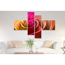Tablouri canvas Trandafir 79779