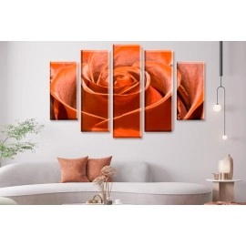 Tablouri canvas trandafir 79779 or