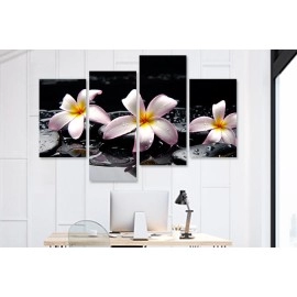 Tablouri living plumeria pe pietre 75250