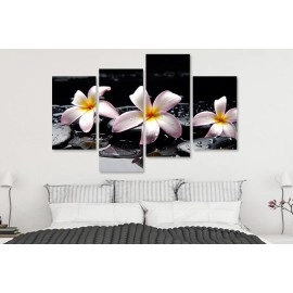 Tablouri living plumeria pe pietre 75250