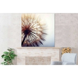 Tablou canvas flori papadie