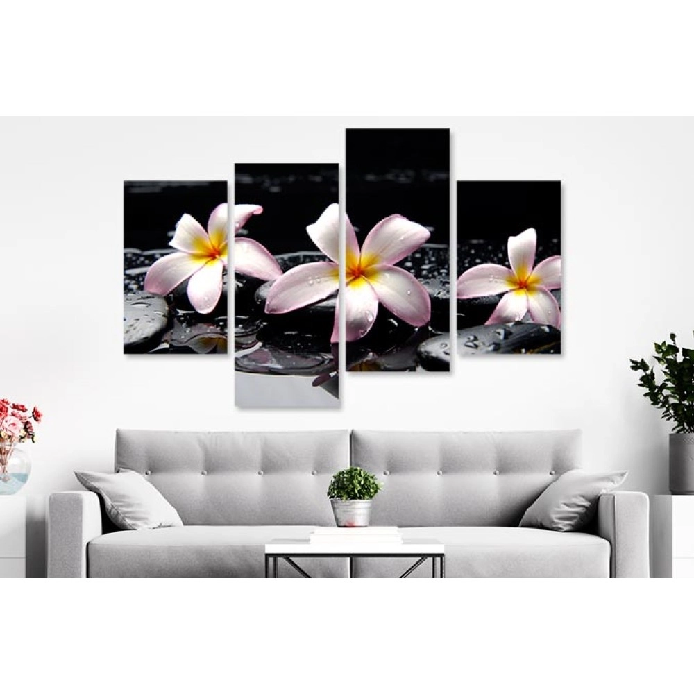 Tablouri living plumeria pe pietre 75250