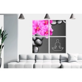 Tablouri canvas orhidee zen 2488