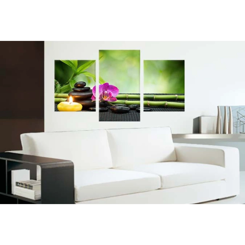 Tablouri canvas Pietre si orhidee 40865