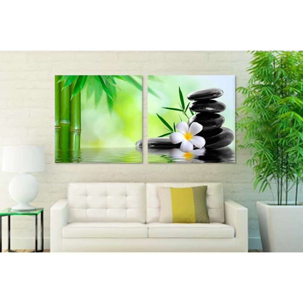 Tablouri canvas Relaxing plumeria 57608