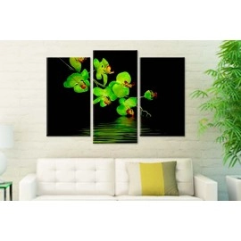 Tablouri canvas Orhidee verde 2212