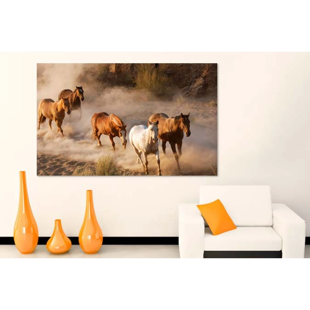 Tablouri canvas Cai salbatici 19745