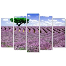 Tablouri canvas Lavanda pe camp 3383