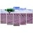 Tablouri canvas Lavanda pe camp 3383