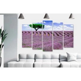 Tablouri canvas Lavanda pe camp 3383