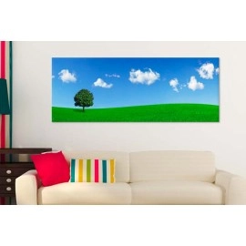 Tablouri canvas Copac si cer albastru 87465