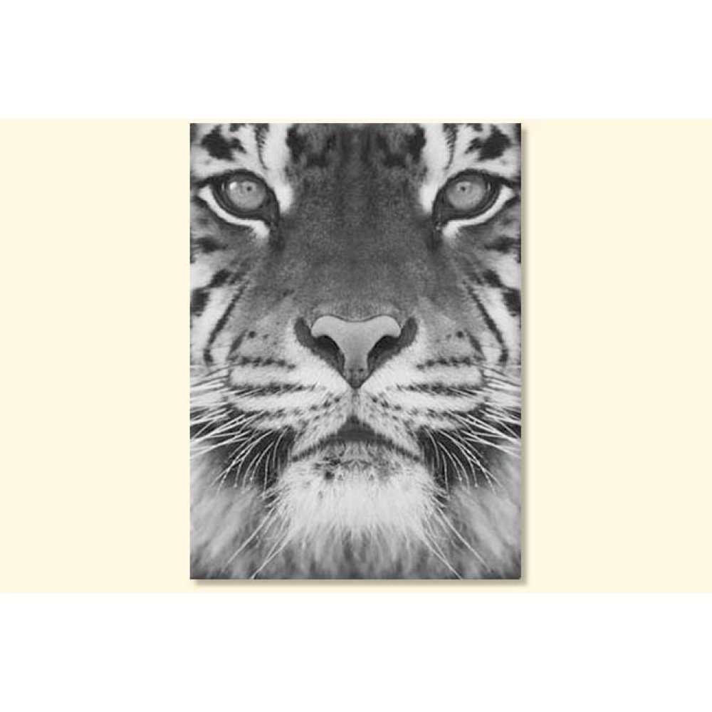 Tablouri canvas Tiger 2463