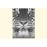 Tablouri canvas Tiger 2463