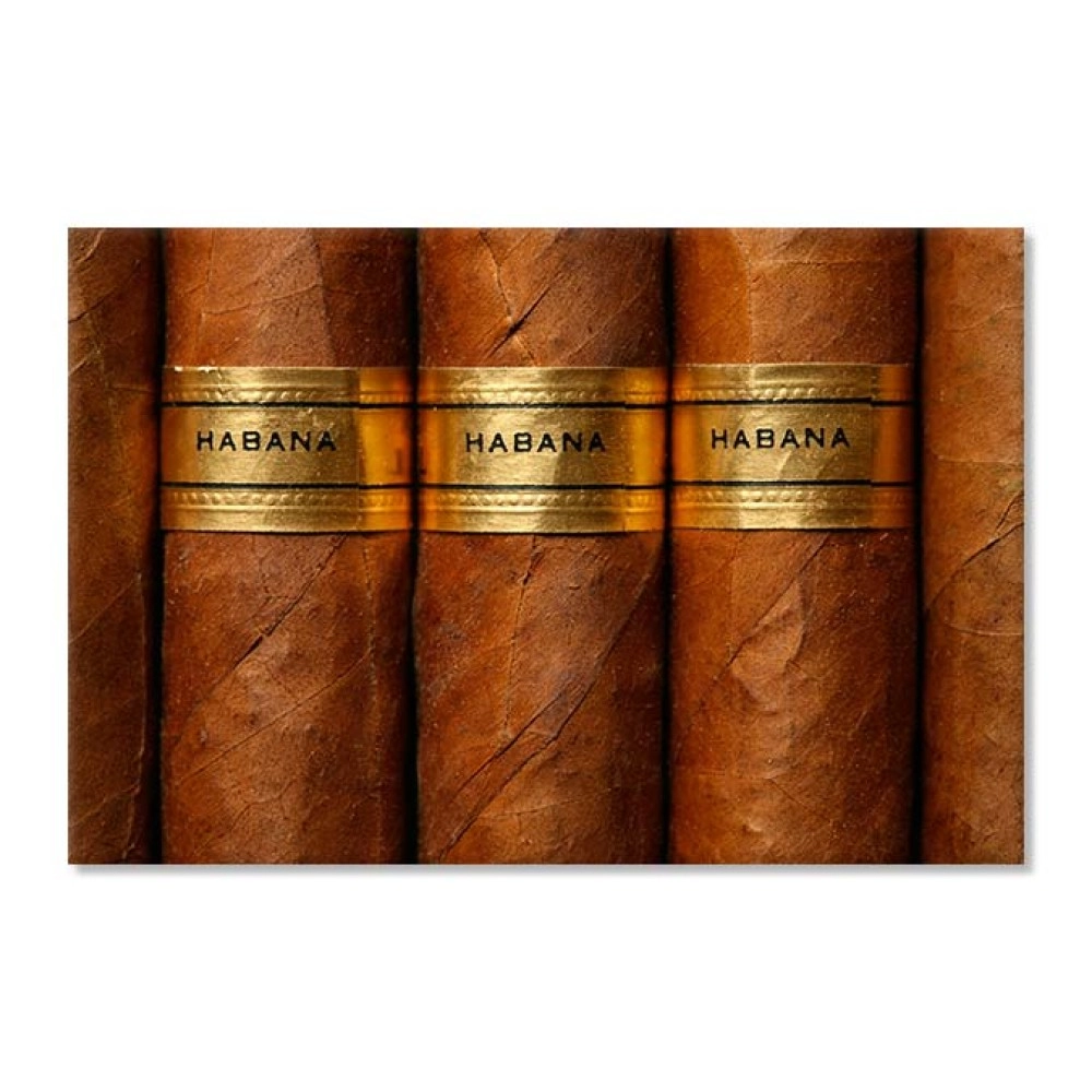 Tablouri canvas Trabuc cubanez 5622