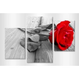 Tablouri canvas Trandafir rosu 4483