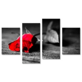 Tablouri canvas Trandafir rosu BW 3217