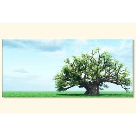 Tablouri canvas copac 58223