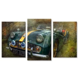 Tablouri canvas Automobile 17580