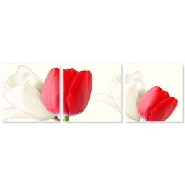 Tablouri canvas Lalele albe si rosii 2207