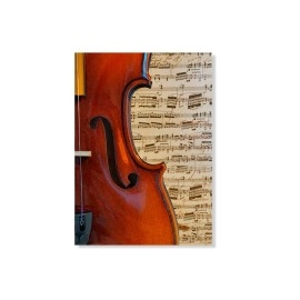 Tablouri canvas Violin 3672