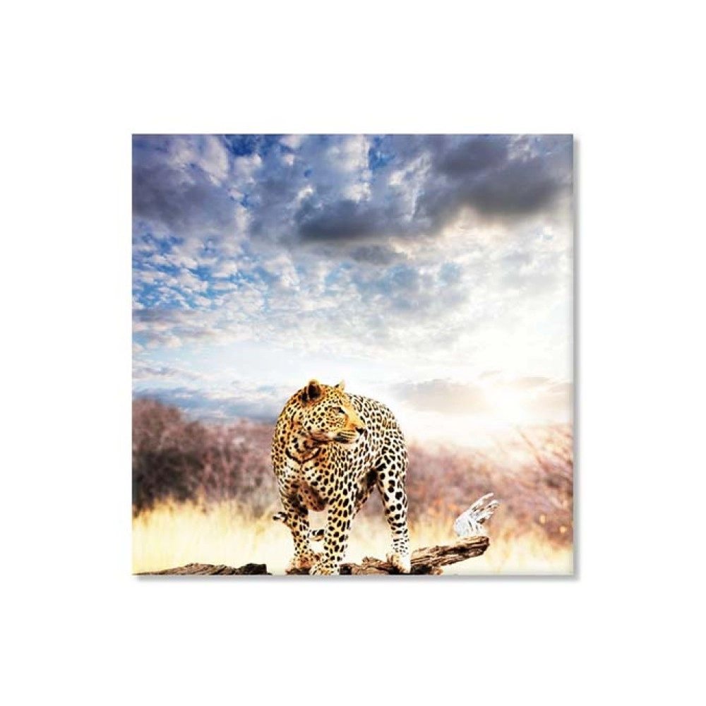 Tablouri canvas Africa peisaj 1314