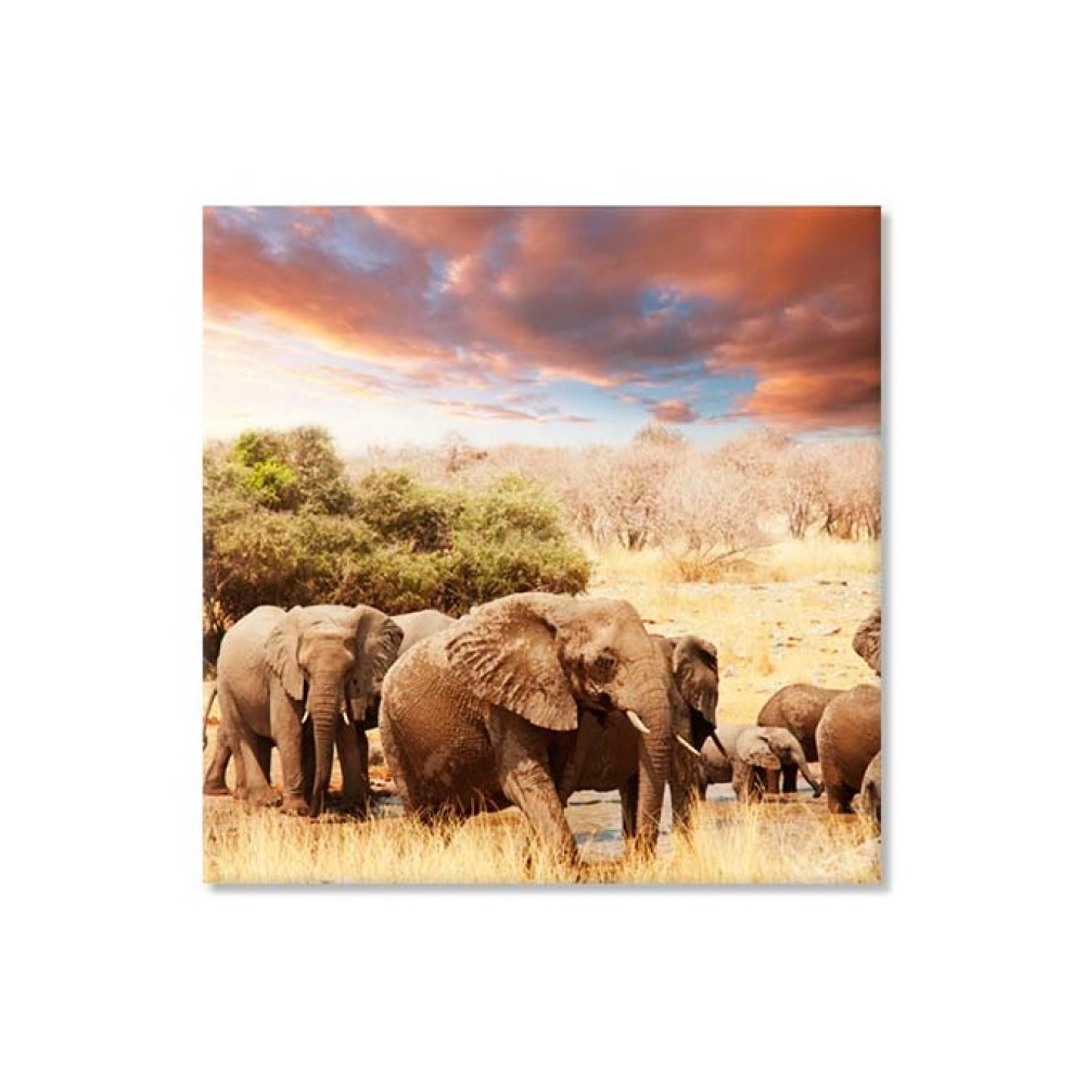 Tablouri canvas Africa elefanti 3738 Tablouri canvas Africa elefanti 3738