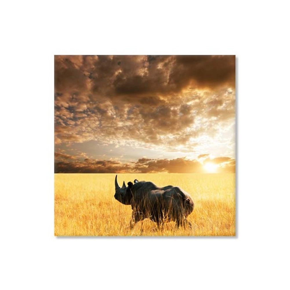 Tablouri canvas Africa salbatica 6315