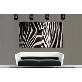 Tablouri canvas Zebra 25169