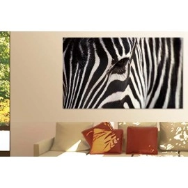 Tablouri canvas Zebra 25169