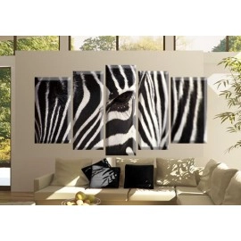 Tablouri canvas Figura zebra 2569