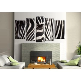 Tablouri canvas Figura zebra 2569